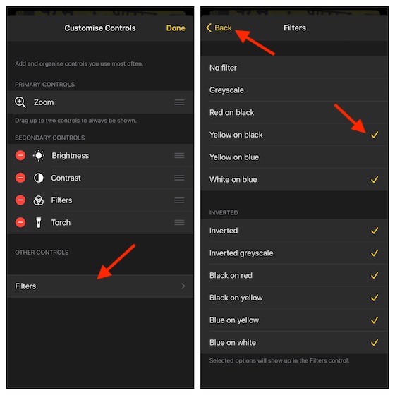 Customize magnifier filter