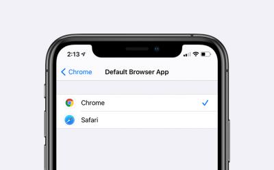 how set chrome default browser ios 14 iphone