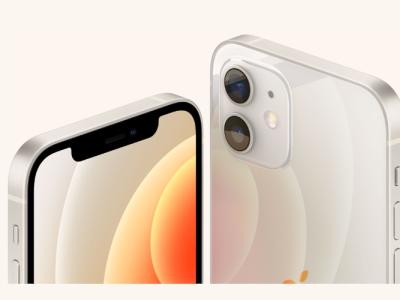 10 Best iPhone 12 Cases and Covers You Can Buy in 2020