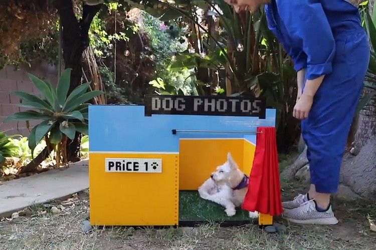 Dog selfie booth legos feat.