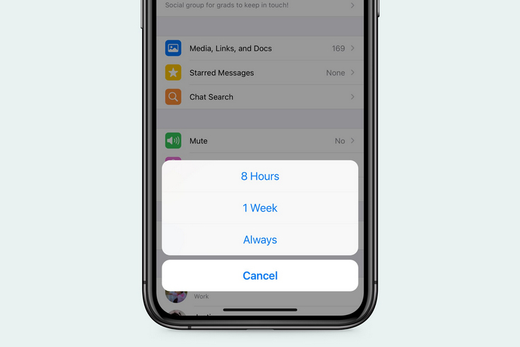 WhatsApp Now Lets You Mute Chats Forever