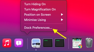 Dock preferences