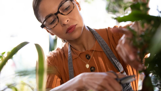 Amazon Launches Upgraded  Echo Frames   Available Without Invite From December - 71