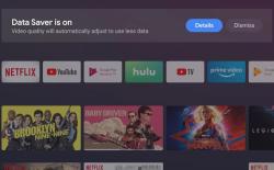 How to Enable Data Saver Mode on Any Android TV