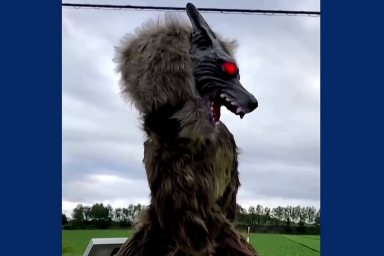 Japan's monster wolf robots feat.