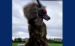 Japan's monster wolf robots feat.