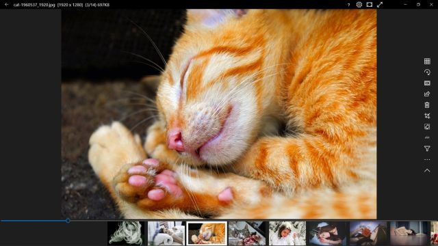 12 Best Photo Viewers for Windows 10  Free and Paid  - 8