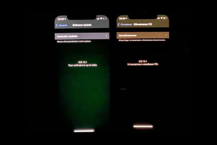 Multiple iPhone 12 Units Are Suffering from Display Issues | Beebom