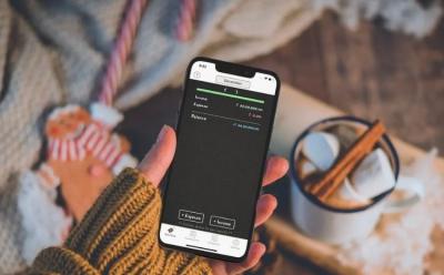 10 Best Expense Tracker Apps for iPhone and Android in 2021