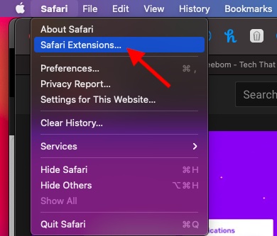 Choose Safari extensions
