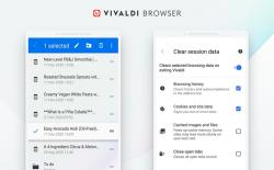 Vivaldi 3.5 for Android Adds Toggle to Clear Browsing Data on Exit