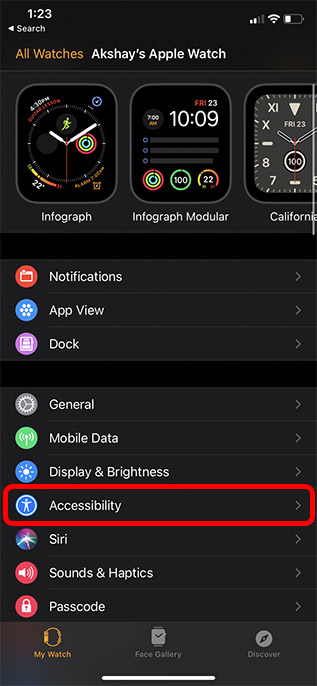 apple watch accessibility settings