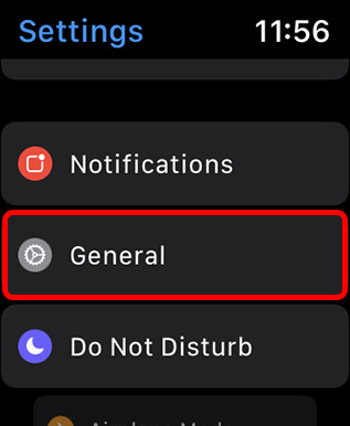 apple watch general settings