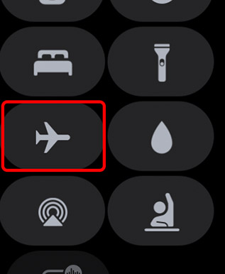 enable airplane mode apple watch