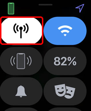 mobile data toggle watchos