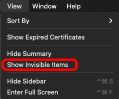 view show invisible items keychain