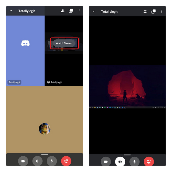 no picture screen sharing discord