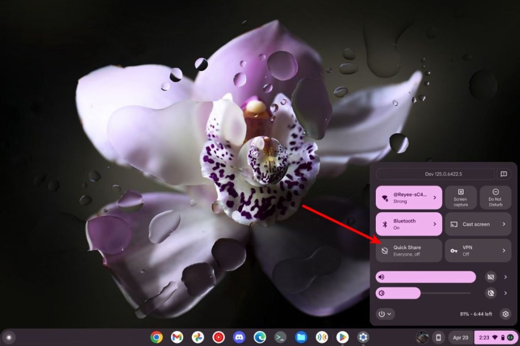 Chromebook Quick Share Quick Settings