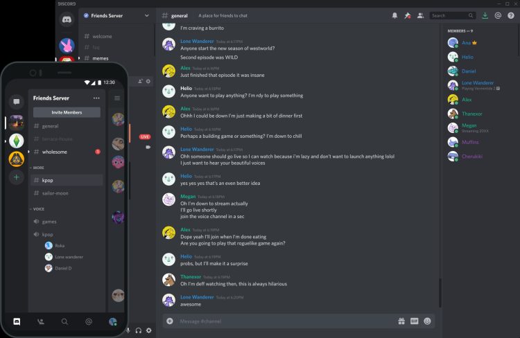 Discord Interface