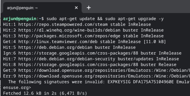 How to Enable Microphone and GPU Acceleration in Linux on Chromebook - 81