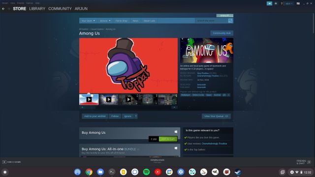 Google to bring Steam to Chromebooks, Android games to PCs