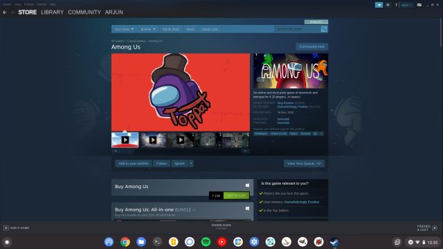 Steam on Chromebook: How to install it, run it, and more