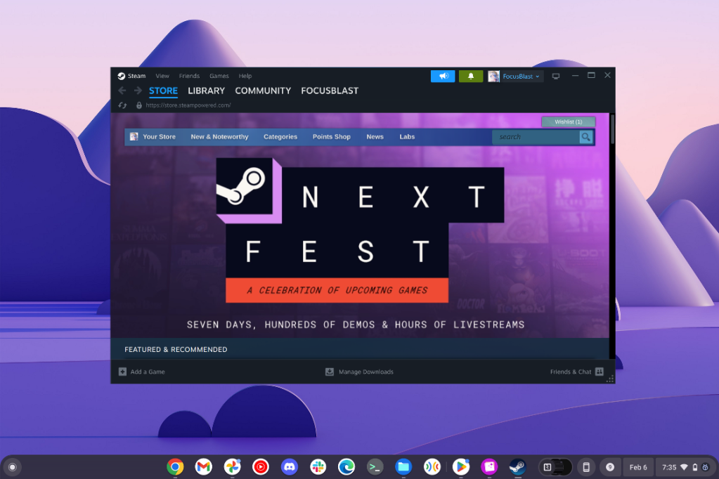 Steam Window on Chrome OS