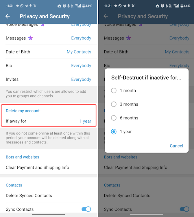 Telegram setting If away for timeframe Android app