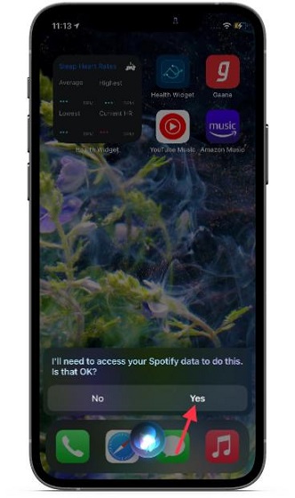 Allow Spotify to access your data