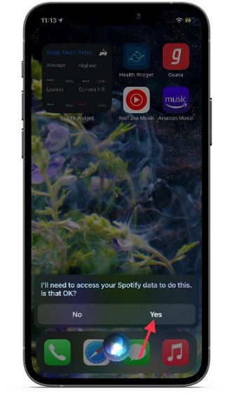 How to Set Spotify As Default Music App on iPhone and iPad - 12