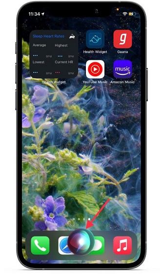 Invoke Siri on Iphone