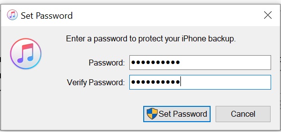 Geben Sie nun das Passwort ein, um Ihr lokales iPhone-Backup zu schützen