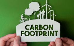 Best Carbon Footprint Calculators to Calculate Your Carbon Footprint