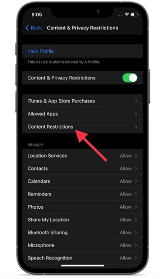 Choose Content Restrictions option