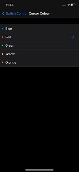 Choose color for cursor