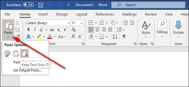 MS Word copy plain text without formatting