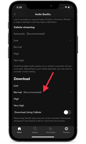 Customize download quality in Spotify