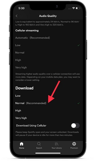 How to optimize the Spotify app to use less cellular data