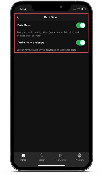 Enable Data Saver in Spotify