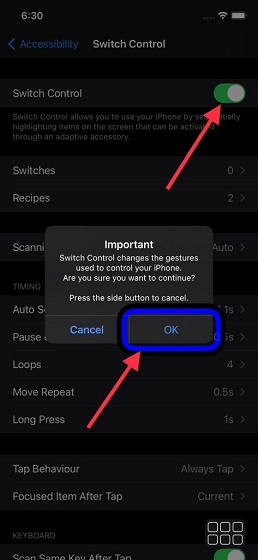 Enable switch control on iPhone and iPad