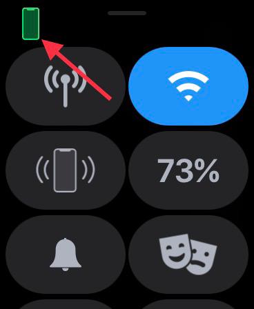 Green iPhone icon on Apple Watch