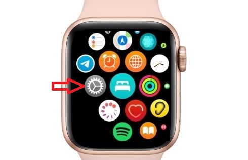Open Settings app on your Apple Watch