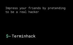 Terminhack lets you pretend to be real hacker