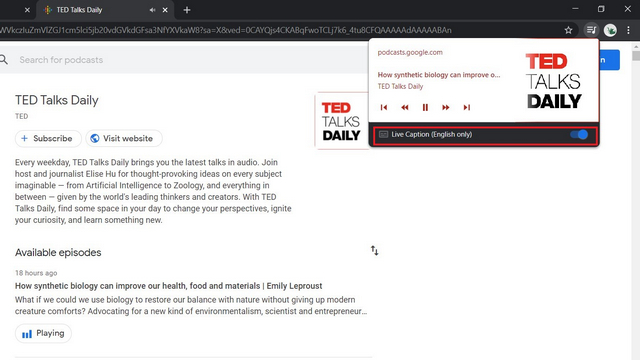 How to Use Live Caption in Google Chrome - 44