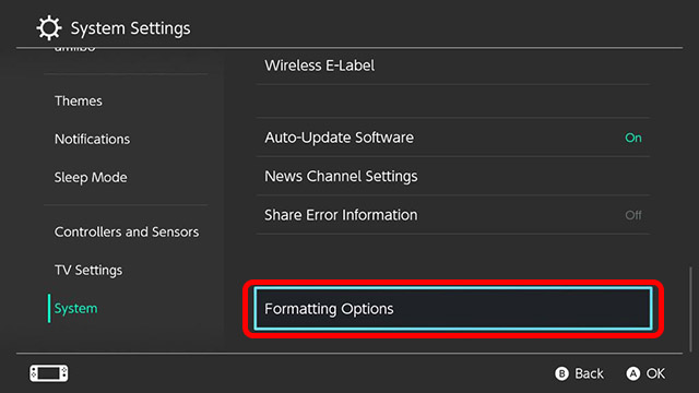 formatting options nintendo switch