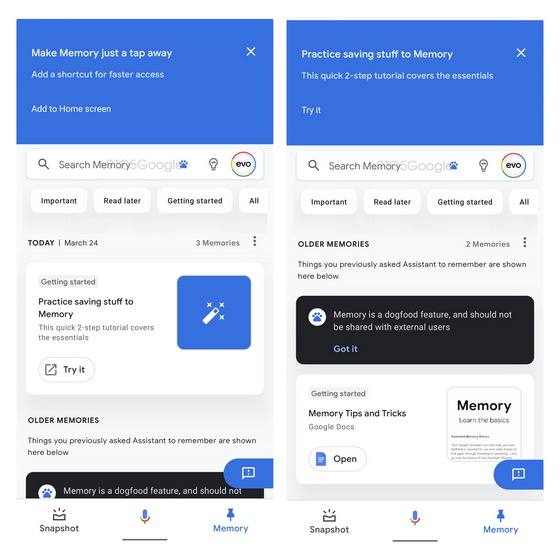 google assistant memory