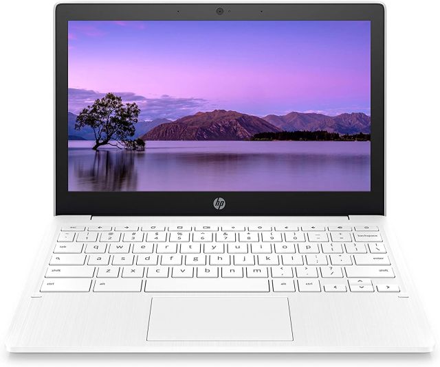 Best Chromebooks in 2021 (Updated March)