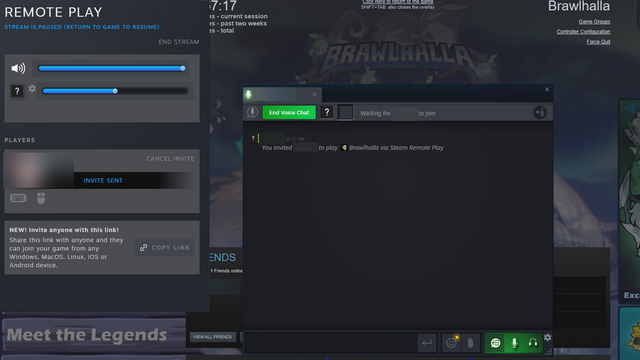 Steam Remote Play