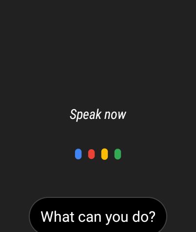 google assistant