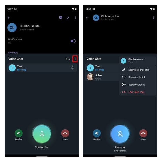 telegram voice chat options